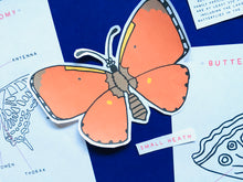 Load image into Gallery viewer, Butterflies Anatomy | Homeschooling Activities | Insect Study | Montessori | Waldorf | Nature Learning Resource