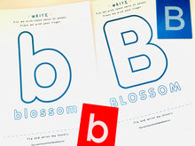 Load image into Gallery viewer, Apple Blossom Anatomy | Blossom | Home Schooling