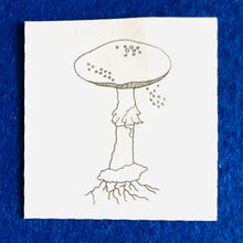 Load image into Gallery viewer, Mushroom Anatomy | Mushroom printable | Homeschool | Home Education | Learning | Montessori