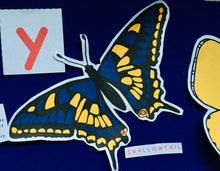 Load image into Gallery viewer, Butterflies Anatomy | Homeschooling Activities | Insect Study | Montessori | Waldorf | Nature Learning Resource