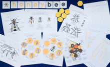 Load image into Gallery viewer, Bee lifecycle and anatomy homeschool printable