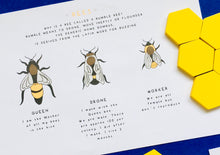 Load image into Gallery viewer, Bee lifecycle and anatomy homeschool printable