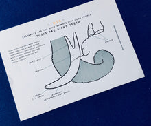 Load image into Gallery viewer, Elephant home education learning resource