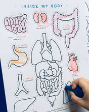 Load image into Gallery viewer, Spanish English | Inside My Body Anatomy | Homeschool | Montessori Learning resource