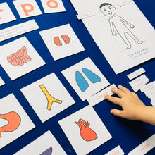 Load image into Gallery viewer, Spanish English | Inside My Body Anatomy | Homeschool | Montessori Learning resource
