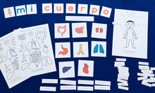 Load image into Gallery viewer, Spanish English | Inside My Body Anatomy | Homeschool | Montessori Learning resource
