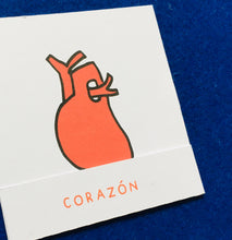 Load image into Gallery viewer, Spanish English | Inside My Body Anatomy | Homeschool | Montessori Learning resource