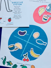 Load image into Gallery viewer, Spanish English Nutrition Homeschool | Home education Montessori printable