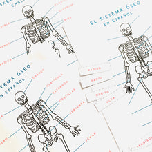Load image into Gallery viewer, Spanish and English Skeletal anatomy Home education learning resource printable | Homeschool education