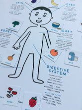 Load image into Gallery viewer, Spanish English Nutrition Homeschool | Home education Montessori printable