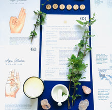 Load image into Gallery viewer, Nurture + Nature January Connect Nettle