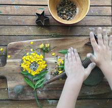 Load image into Gallery viewer, A Year of Nature Play August