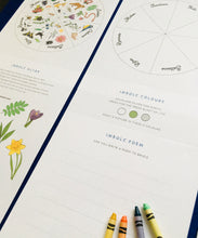 Load image into Gallery viewer, Imbolc | Spring | Wheel of the year Home education