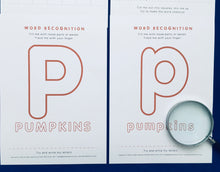 Load image into Gallery viewer, Pumpkin study unit