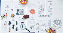 Load image into Gallery viewer, A Year of Nature Play November