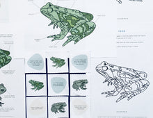 Load image into Gallery viewer, Frog vs Toad | Home education | study | Montessori | Waldorf | Learning resource