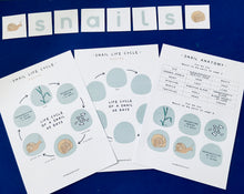 Load image into Gallery viewer, Snails and Fibonacci Home education learning resource