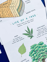 Load image into Gallery viewer, Summer Tree study