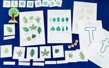 Load image into Gallery viewer, Summer Tree study