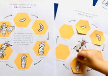 Load image into Gallery viewer, Bees | ITALIAN Home education | Learning resource
