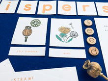 Load image into Gallery viewer, Seed Dispersal learning resource