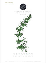Load image into Gallery viewer, Nurture + Nature June Connect Cleavers