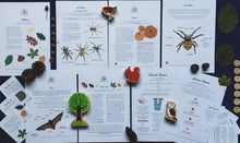 Load image into Gallery viewer, A Year of Nature Play October