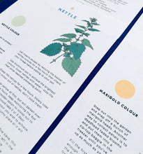 Load image into Gallery viewer, Galls and Plant Dyes study unit | Home education printable