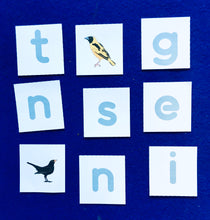 Load image into Gallery viewer, Nesting birds | bird unit | Montessori learning
