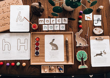 Load image into Gallery viewer, Hare learning resource