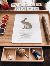 Load image into Gallery viewer, Hare learning resource