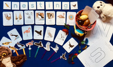 Load image into Gallery viewer, Nesting birds | bird unit | Montessori learning