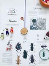 Load image into Gallery viewer, A Year of Nature Play November