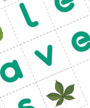 Load image into Gallery viewer, Summer Tree study