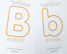 Load image into Gallery viewer, British Birds nomenclature | anatomy | home education