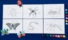 Load image into Gallery viewer, Minibeasts colour in bundle | Insects ladybird worm spider grasshopper butterfly ant