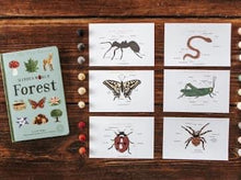Load image into Gallery viewer, Minibeasts printables bundle | Insects ladybird worm spider grasshopper butterfly ant