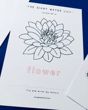 Load image into Gallery viewer, Giant Water Lily study