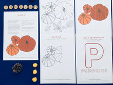 Load image into Gallery viewer, Pumpkin study unit