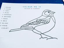 Load image into Gallery viewer, French English Colours translation printable | Homeschool | Montessori Home education