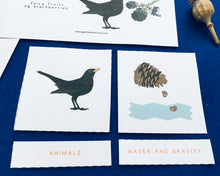 Load image into Gallery viewer, Seed Dispersal learning resource