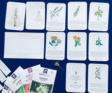 Load image into Gallery viewer, Connect with herbs and chakras for children mindfulness unit
