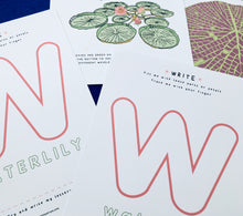 Load image into Gallery viewer, Giant Water Lily study