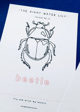 Load image into Gallery viewer, Giant Water Lily study