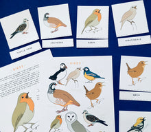 Load image into Gallery viewer, British Birds nomenclature | anatomy | home education