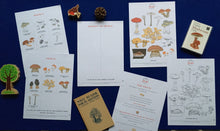 Load image into Gallery viewer, Mushrooms | Wonders of Fungi study unit