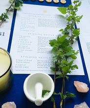 Load image into Gallery viewer, Nurture + Nature January Connect Nettle