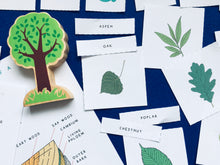 Load image into Gallery viewer, Summer Tree study