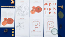 Load image into Gallery viewer, Pumpkin study unit