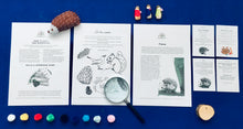 Load image into Gallery viewer, A Year of Nature Play November